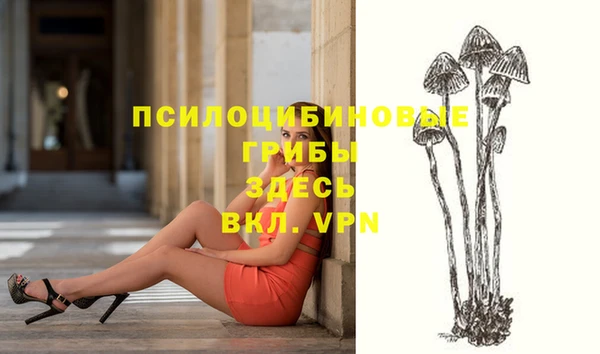 стафф Алексин