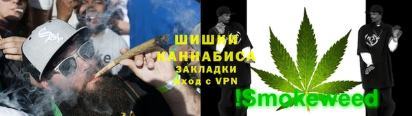 ПСИЛОЦИБИНОВЫЕ ГРИБЫ Осинники