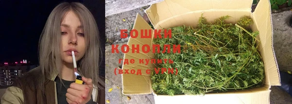 ПСИЛОЦИБИНОВЫЕ ГРИБЫ Осинники